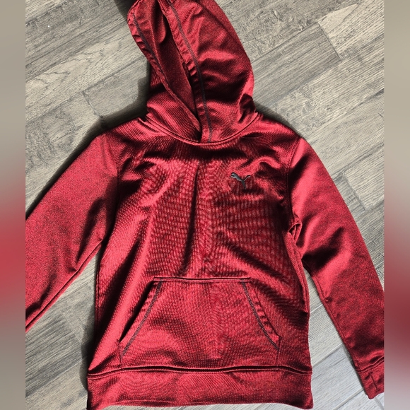 Puma Other - Puma Vibrant Red Hoodie